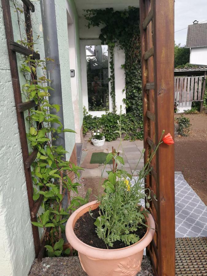 קלברג Appartement Eifel Im Haus Sybille מראה חיצוני תמונה